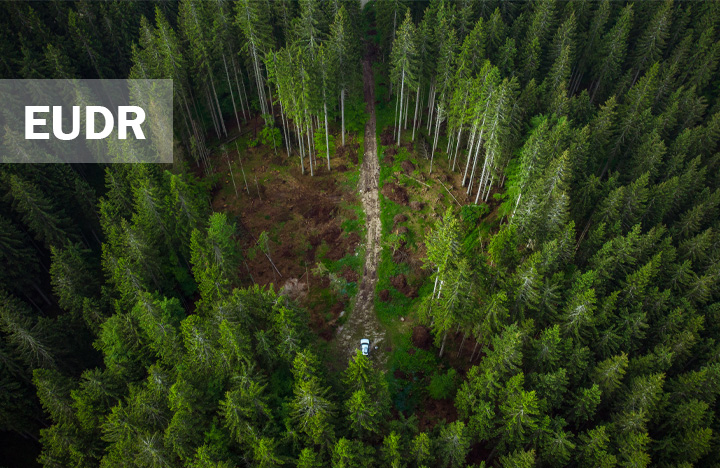 EUDR